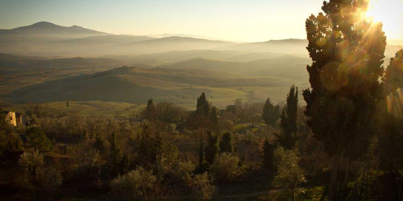 技术赋能交易：迈达斯外汇如何通过桥接cTrader与TradingView释放交易潜能