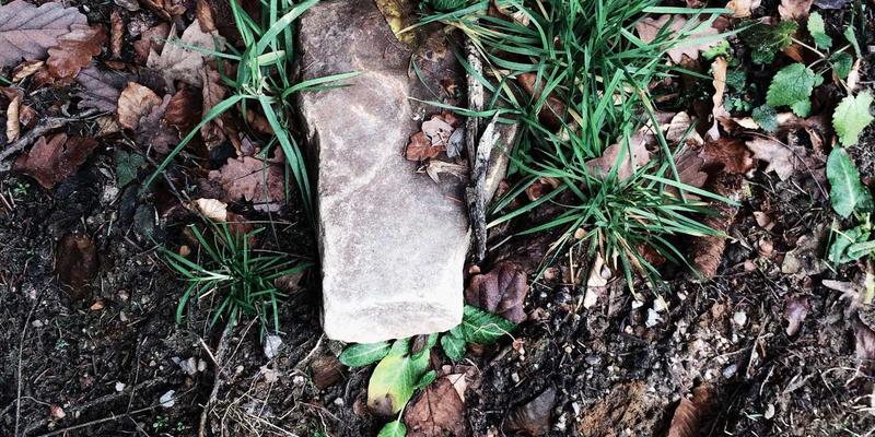 揭秘迈达斯外汇套利策略：巧用平台特性捕捉跨市场价差，实现稳健收益