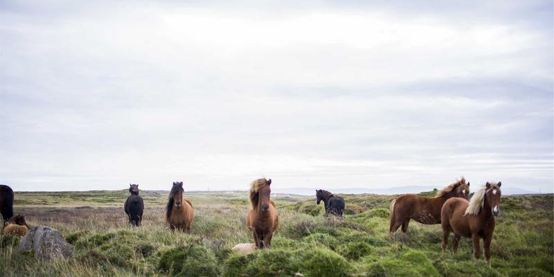揭秘迈达斯外汇季节性交易策略:如何用历史规律与智能工具捕捉周期性行情