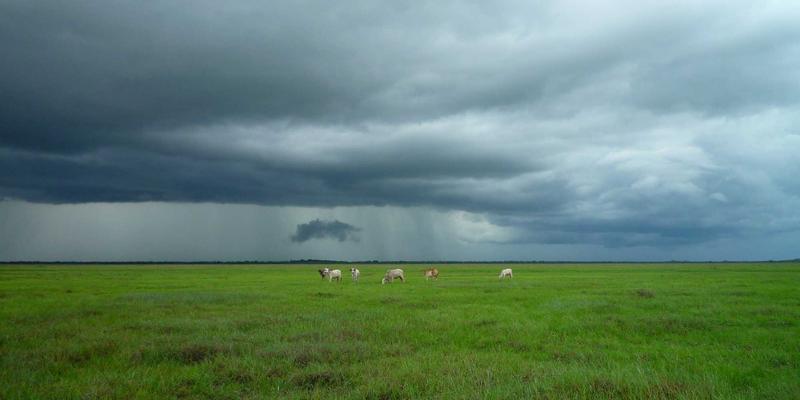 解锁交易优势:迈达斯外汇平台MQL4自定义指标编程从入门到实战