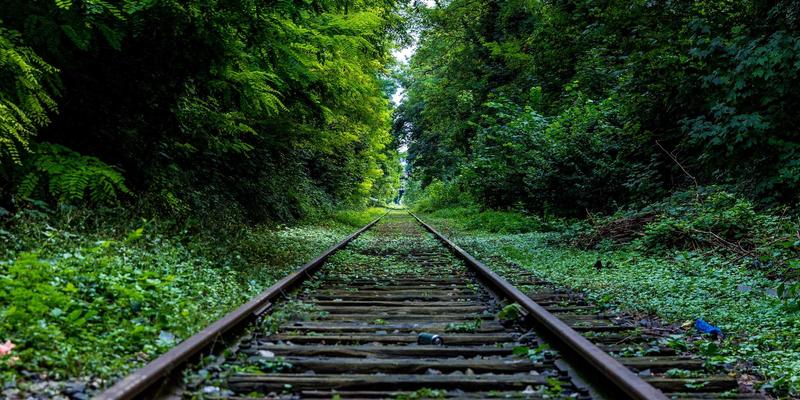 迈达斯外汇交易竞赛制胜全攻略：从规则精析到实战策略，赢取丰厚回报