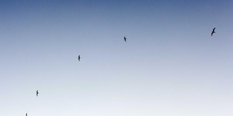 迈达斯外汇市场分析工具深度评测：从内置指标到第三方插件，打造你的智能交易系统