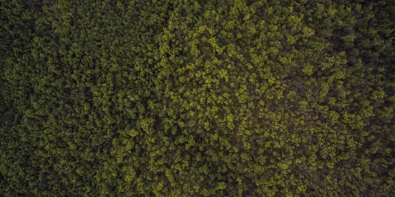 迈达斯外汇杠杆双刃剑：高回报诱惑下的风险管理艺术